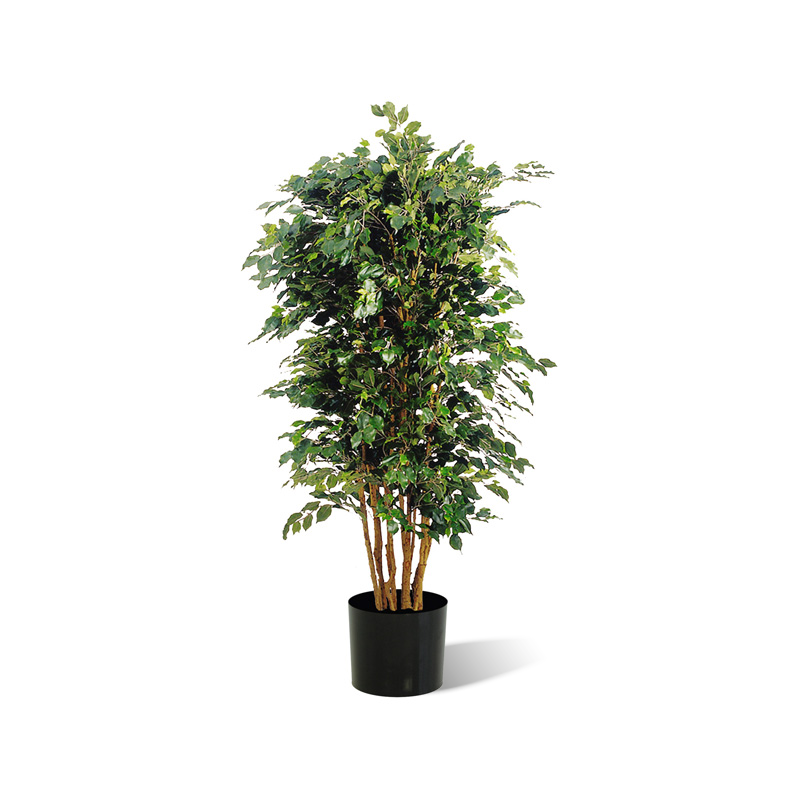 Ficus benjamina künstlich – Luwasa shop