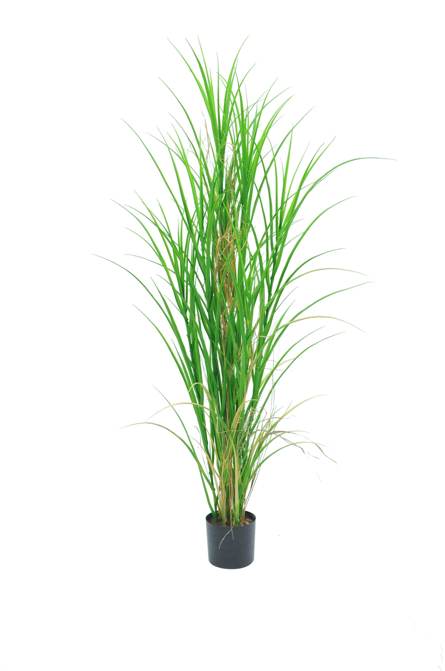 Gras Pyramide 95 cm