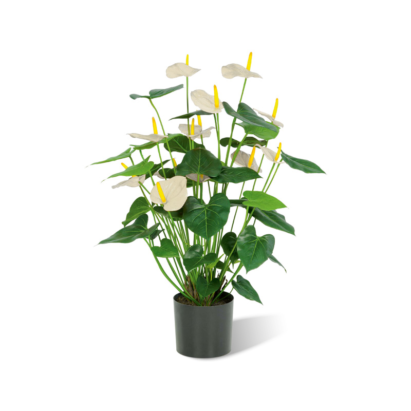 Anthurium crème künstlich