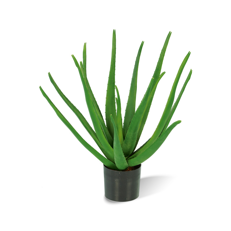 Aloe Vera künstlich