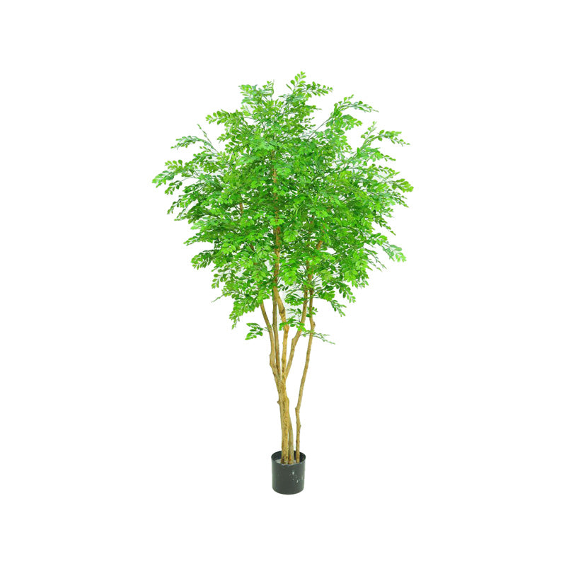 Bulnesia 215 cm künstlich