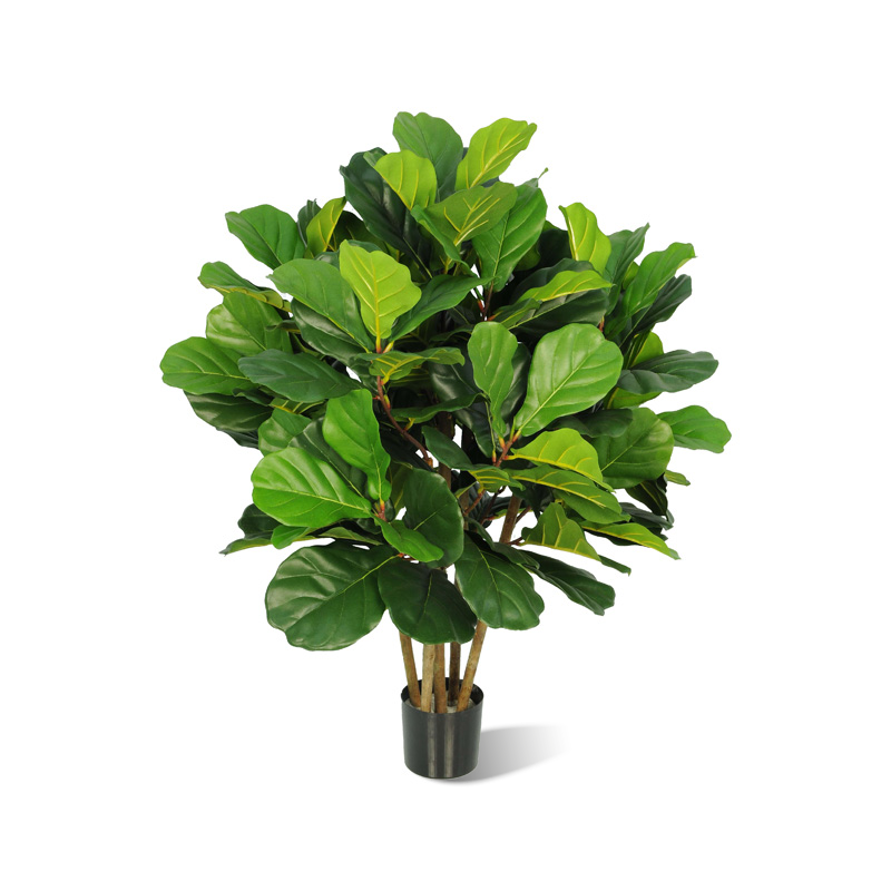Ficus lyrata künstlich