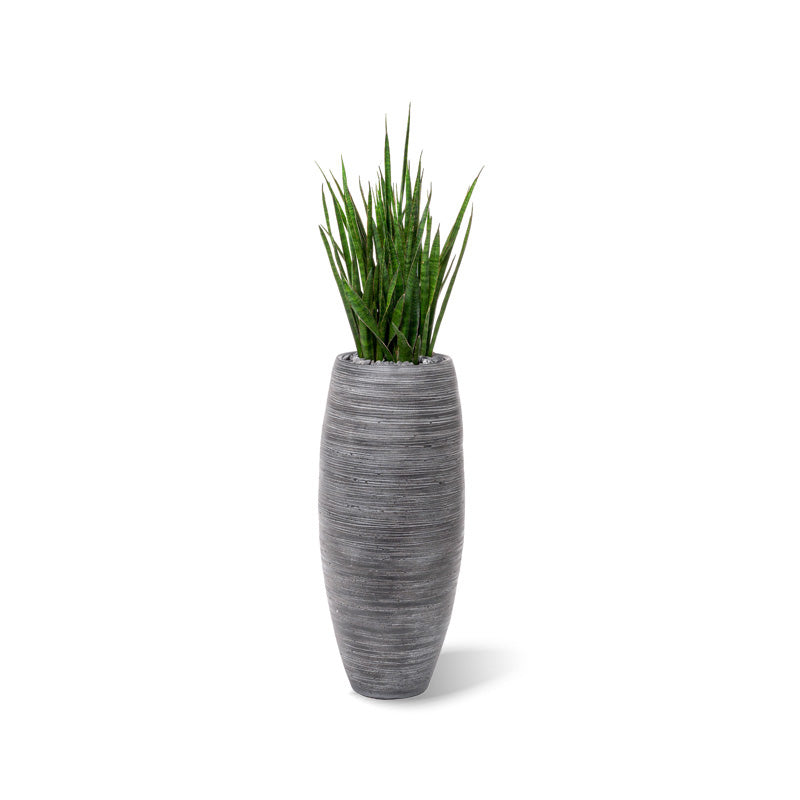 Graciosa Vase schwarz
