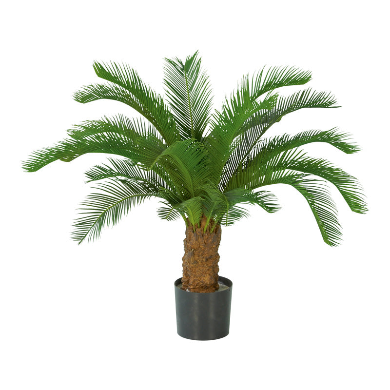 Cycas Stamm künstlich