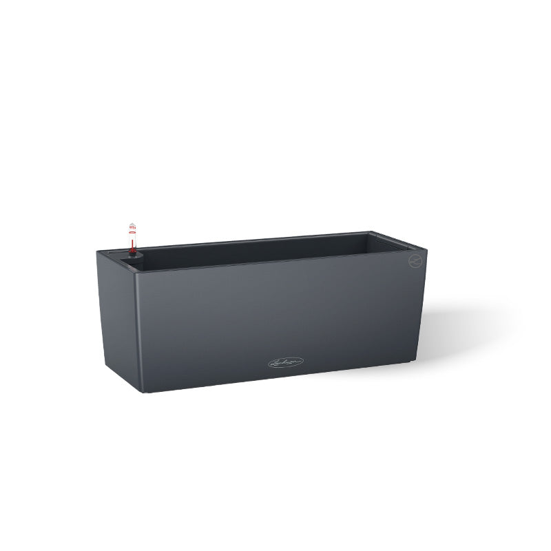 Lechuza Balconera schiefergrau