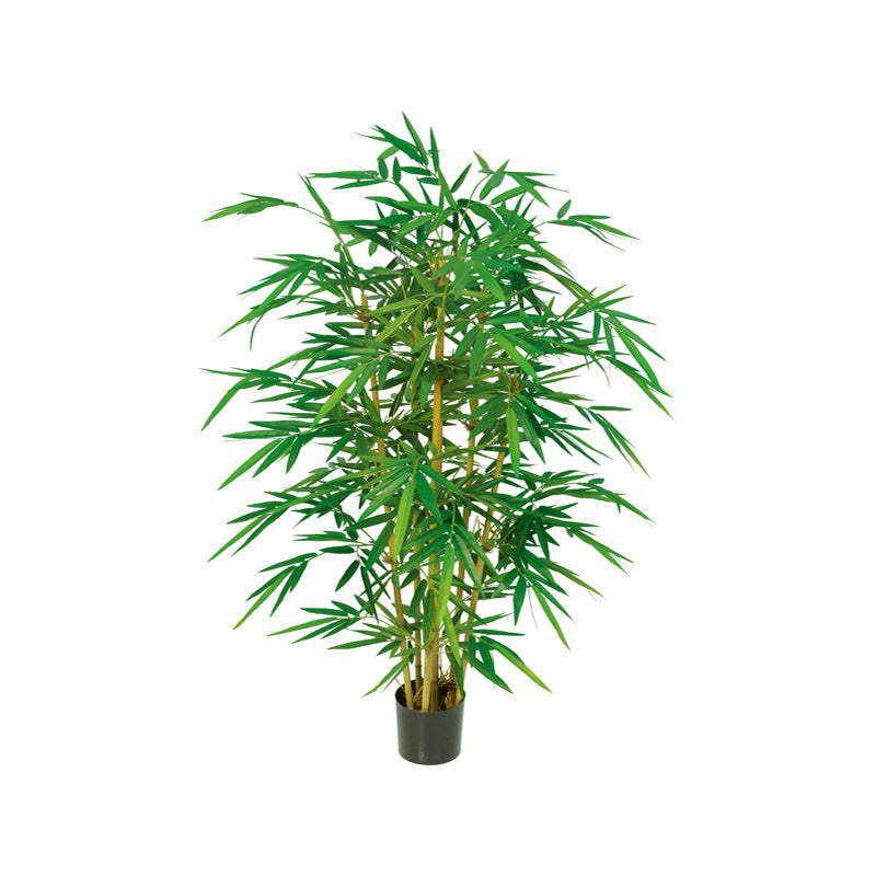 Bambus japonica künstlich