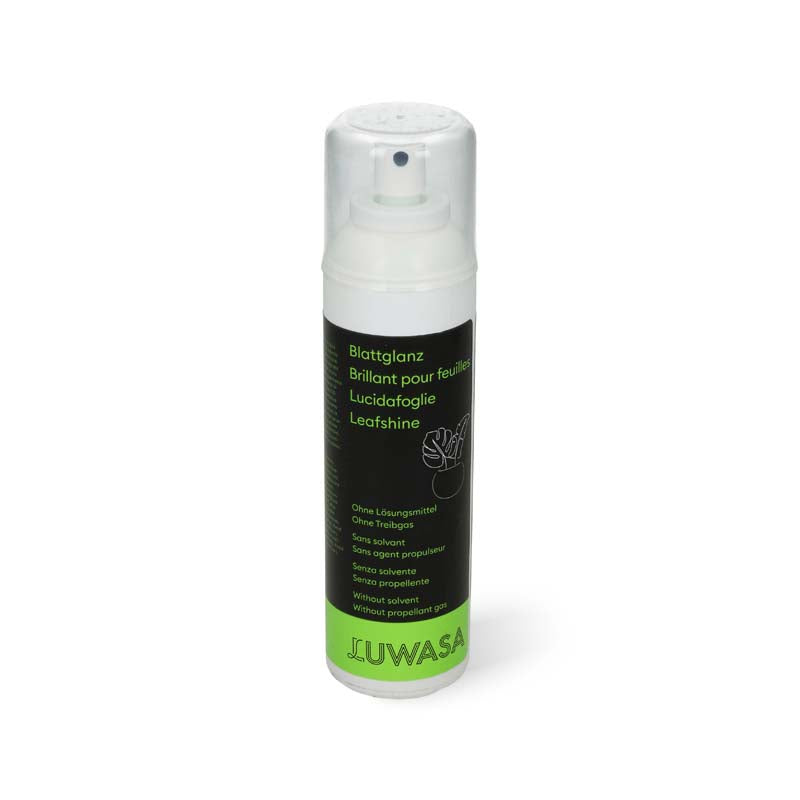 Blattglanz 250 ml o. Treibgas