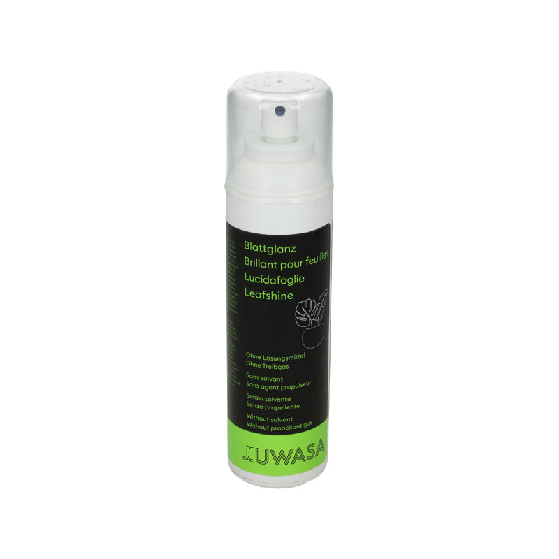 Blattglanz 250 ml o. Treibgas