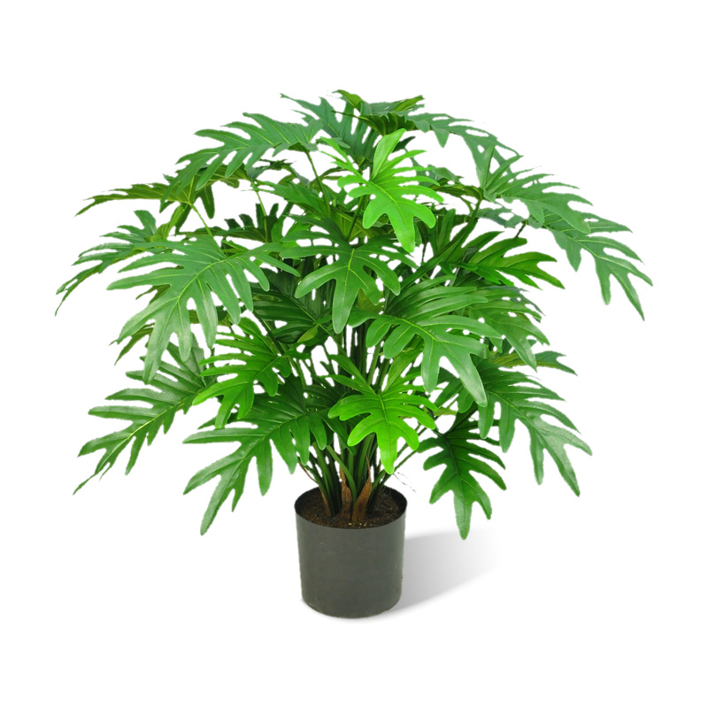 Philodendron selloum künstlich