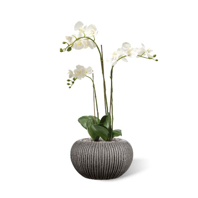 Risco Bowl grau-schwarz