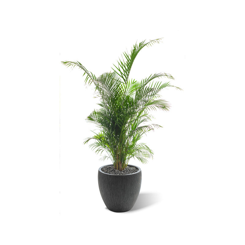Samoa Topf grau-schwarz