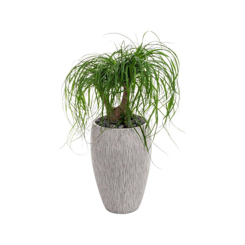 Samoa Vase grau