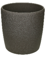 Venus Hydro Sand