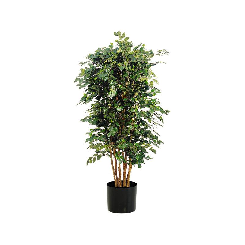 Ficus benjamina künstlich