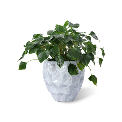 Salina Topf sky grey