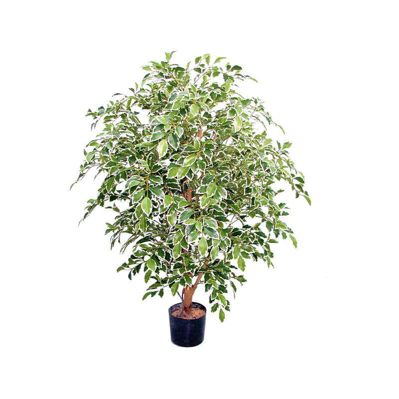 Ficus benj. panachiert künstlich