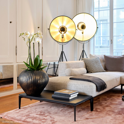 Morea Topf Ø45/34 black-gold