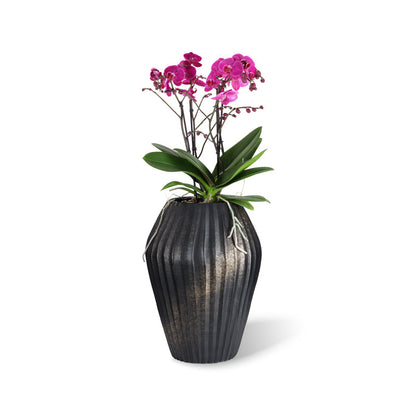 Morea Vase black-gold