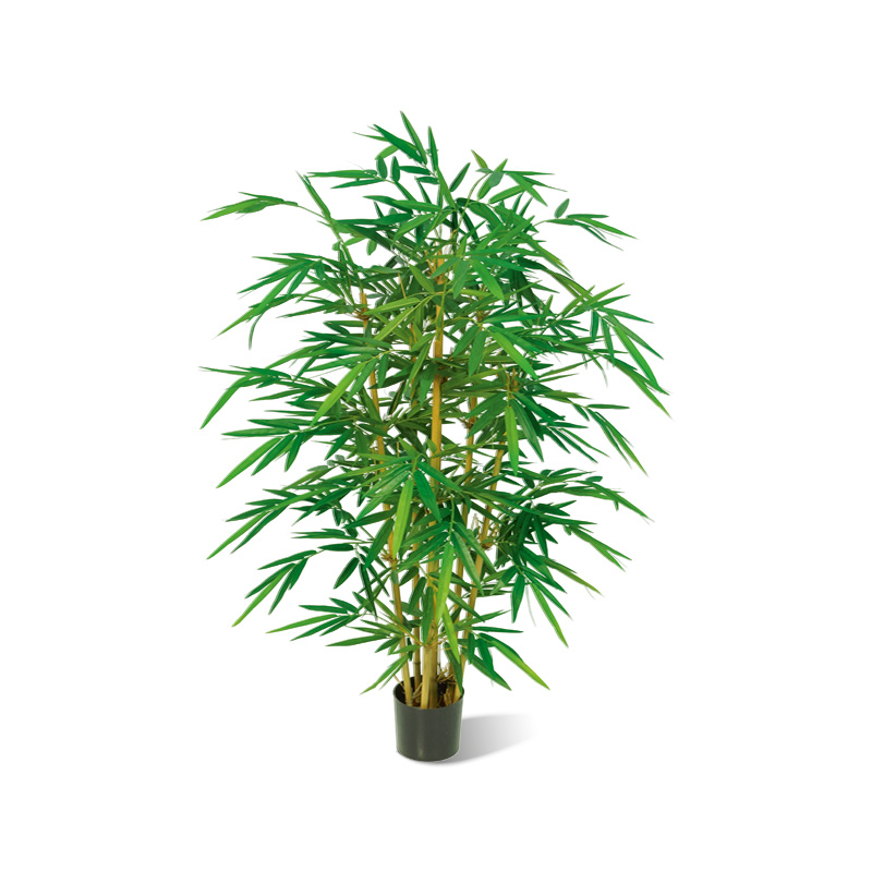 Bambus japonica künstlich