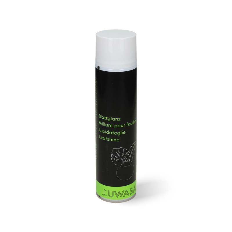 Blattglanzspray 600 ml