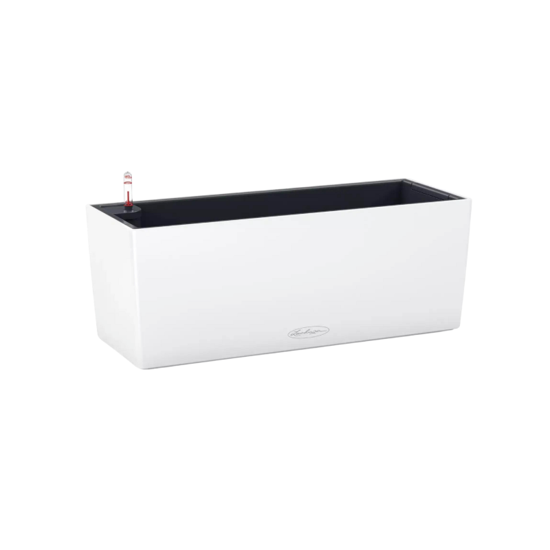 Lechuza Balconera weiss