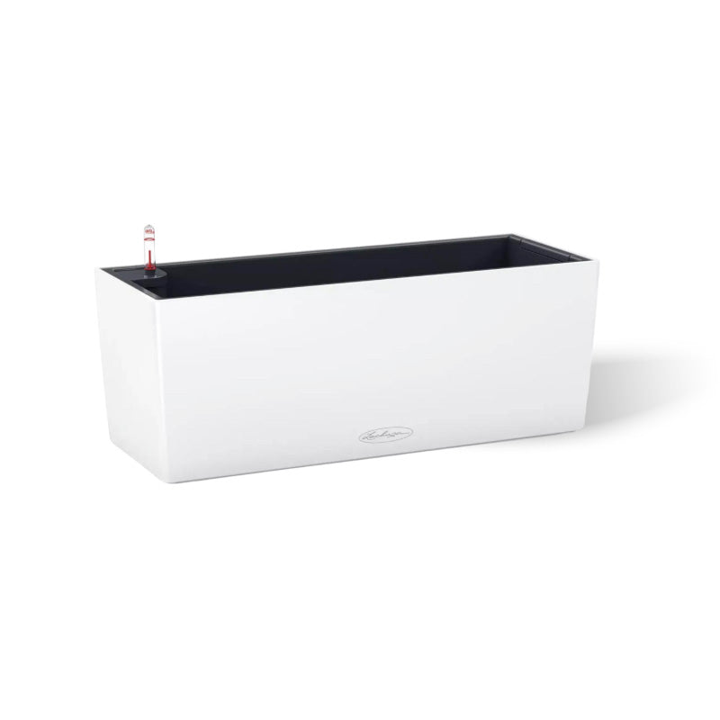 Lechuza Balconera weiss