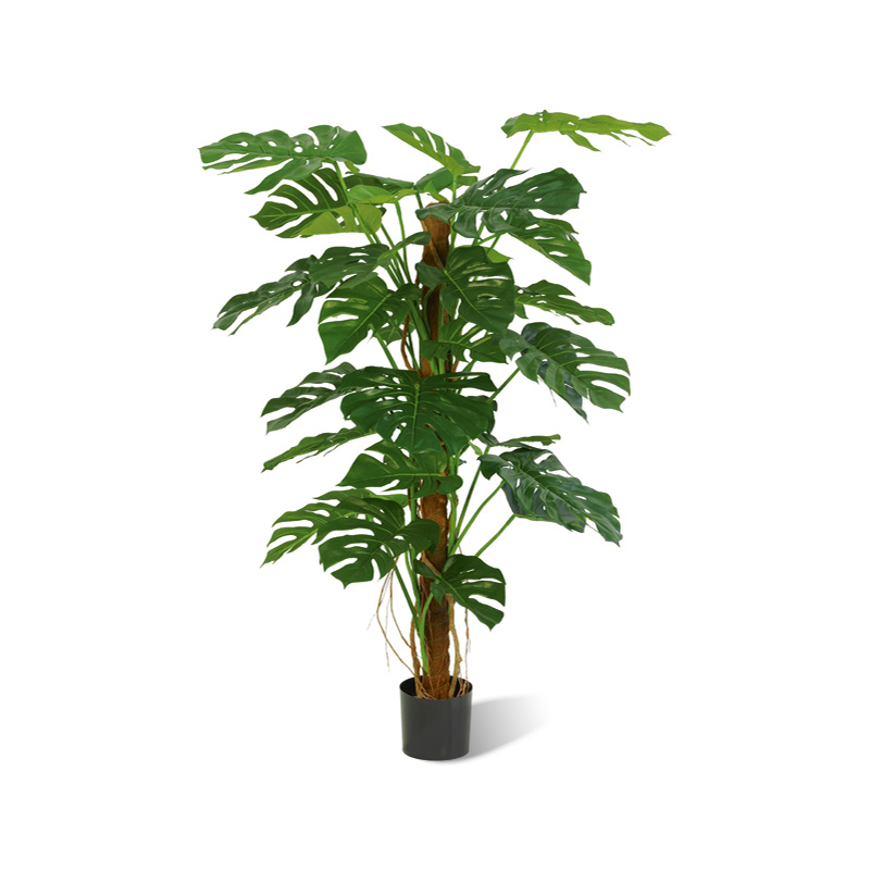 Monstera deliciosa künstlich
