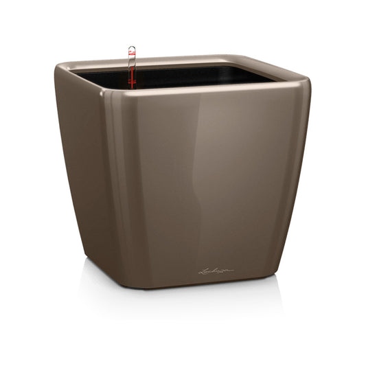 Lechuza Quadro taupe