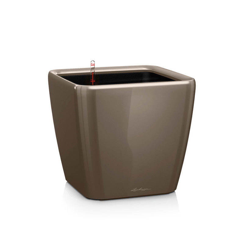 Lechuza Quadro taupe