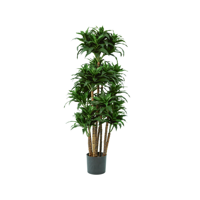 Dracaena fragrans künstlich 90cm