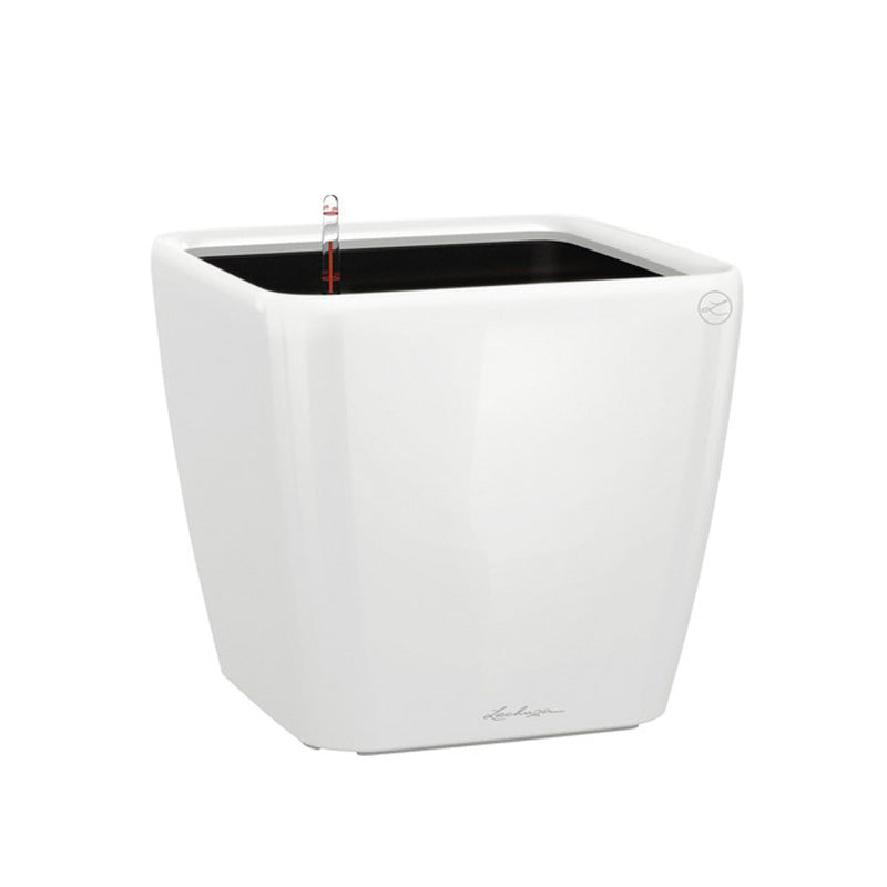 Lechuza Quadro weiss