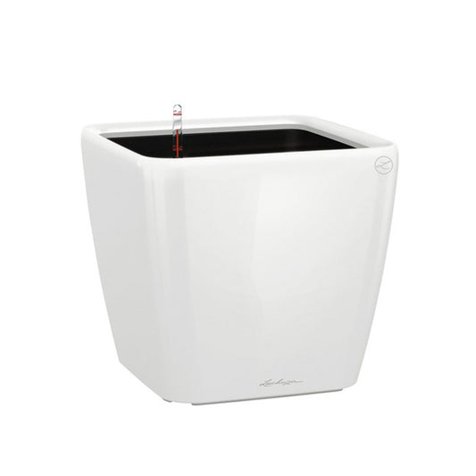 Lechuza Quadro weiss