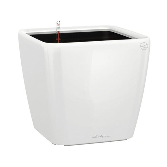 Lechuza Quadro weiss