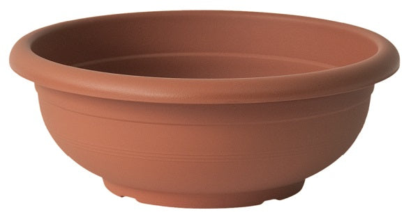 Olympo