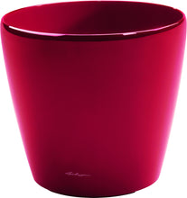 Lechuza Classico Pflanzgefäss & Zubehör