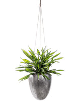 TrinitySky Ø33H36cm blackline