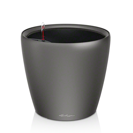 Lechuza Classico 21 LS