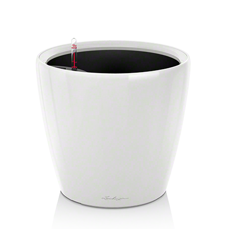 Lechuza Classico 21 LS