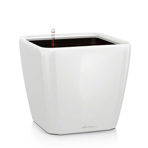 Lechuza Quadro LS all inclusive-Sets